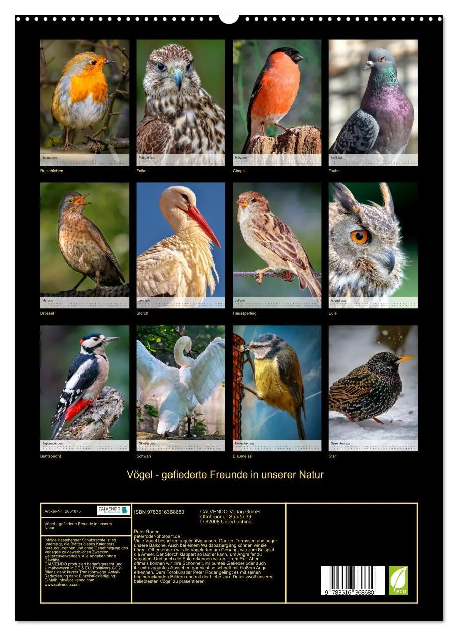 Bild: 9783516368680 | Vögel - gefiederte Freunde in unserer Natur (Wandkalender 2026 DIN...