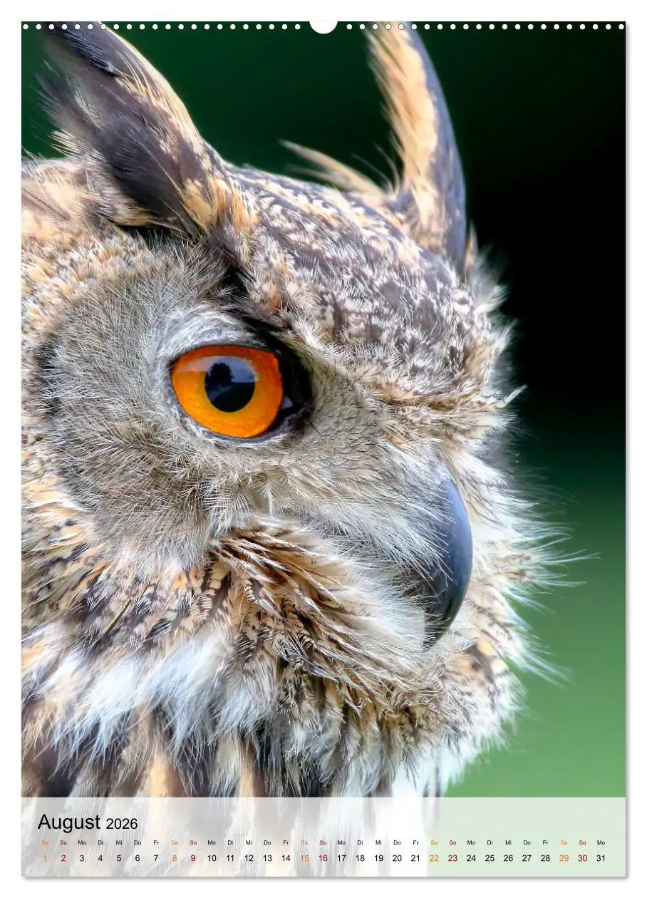 Bild: 9783516368680 | Vögel - gefiederte Freunde in unserer Natur (Wandkalender 2026 DIN...