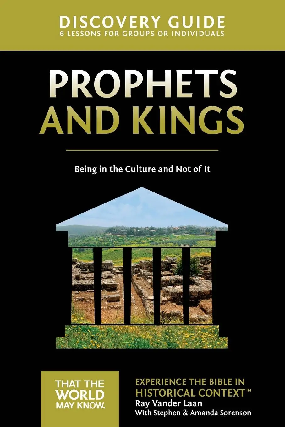 Cover: 9780310878780 | Prophets and Kings Discovery Guide | Ray Vander Laan | Taschenbuch