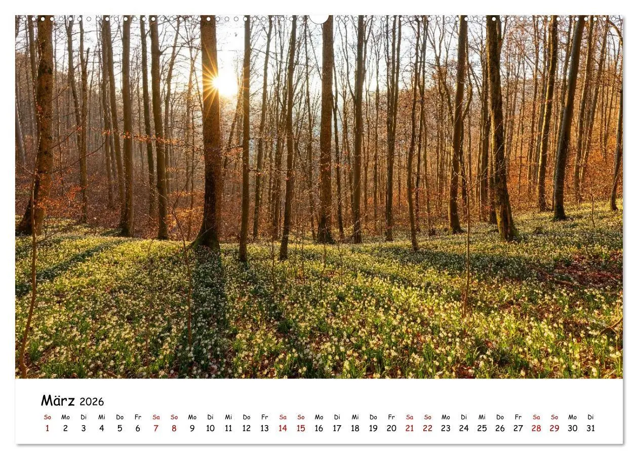 Bild: 9783457408780 | Faszination Schwäbische Alb (hochwertiger Premium Wandkalender 2026...