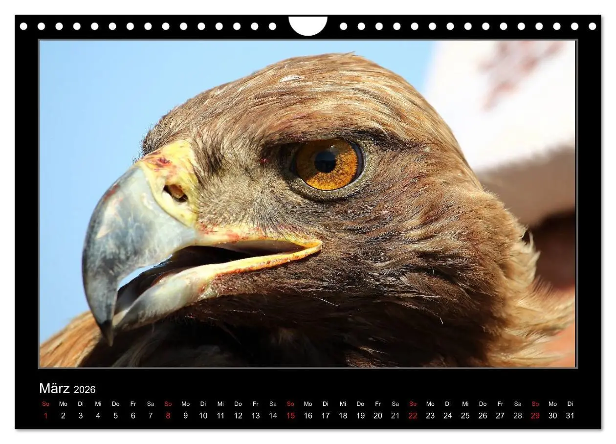Bild: 9783457958780 | Unbekanntes Kirgistan (Wandkalender 2026 DIN A4 quer), CALVENDO...