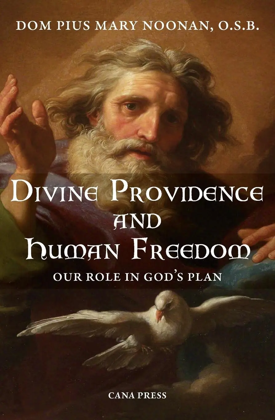 Cover: 9780648868880 | Divine Providence And Human Freedom | Our Role In God's Plan | Noonan