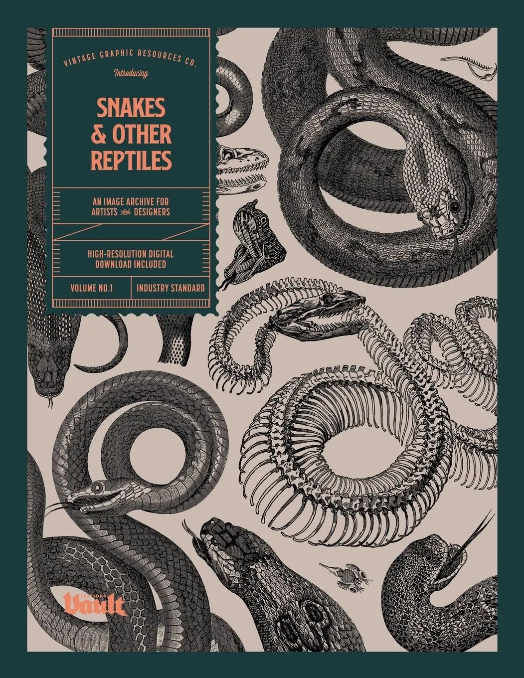 Cover: 9781925968880 | Snakes and Other Reptiles | Kale James | Taschenbuch | Englisch | 2022