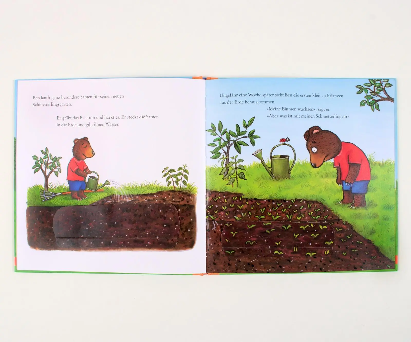 Bild: 9783407758880 | Ben pflanzt einen Schmetterlingsgarten | Axel Scheffler | Buch | 16 S.