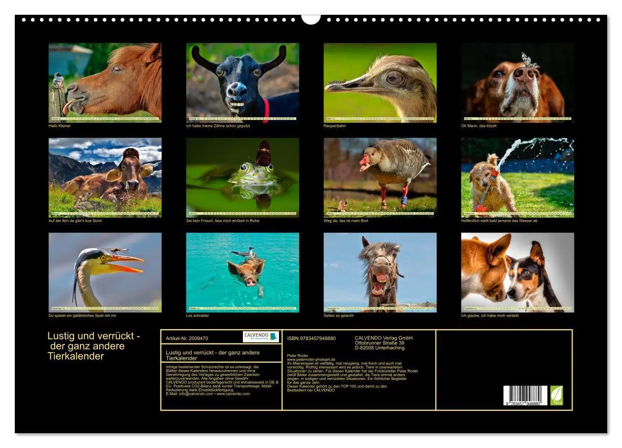 Bild: 9783457948880 | Lustig und verrückt - der ganz andere Tierkalender (Wandkalender...