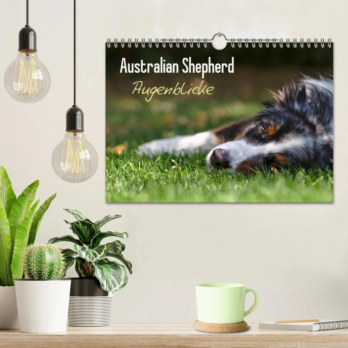 Bild: 9783516038880 | Australian Shepherd - Augenblicke (Wandkalender 2026 DIN A4 quer),...