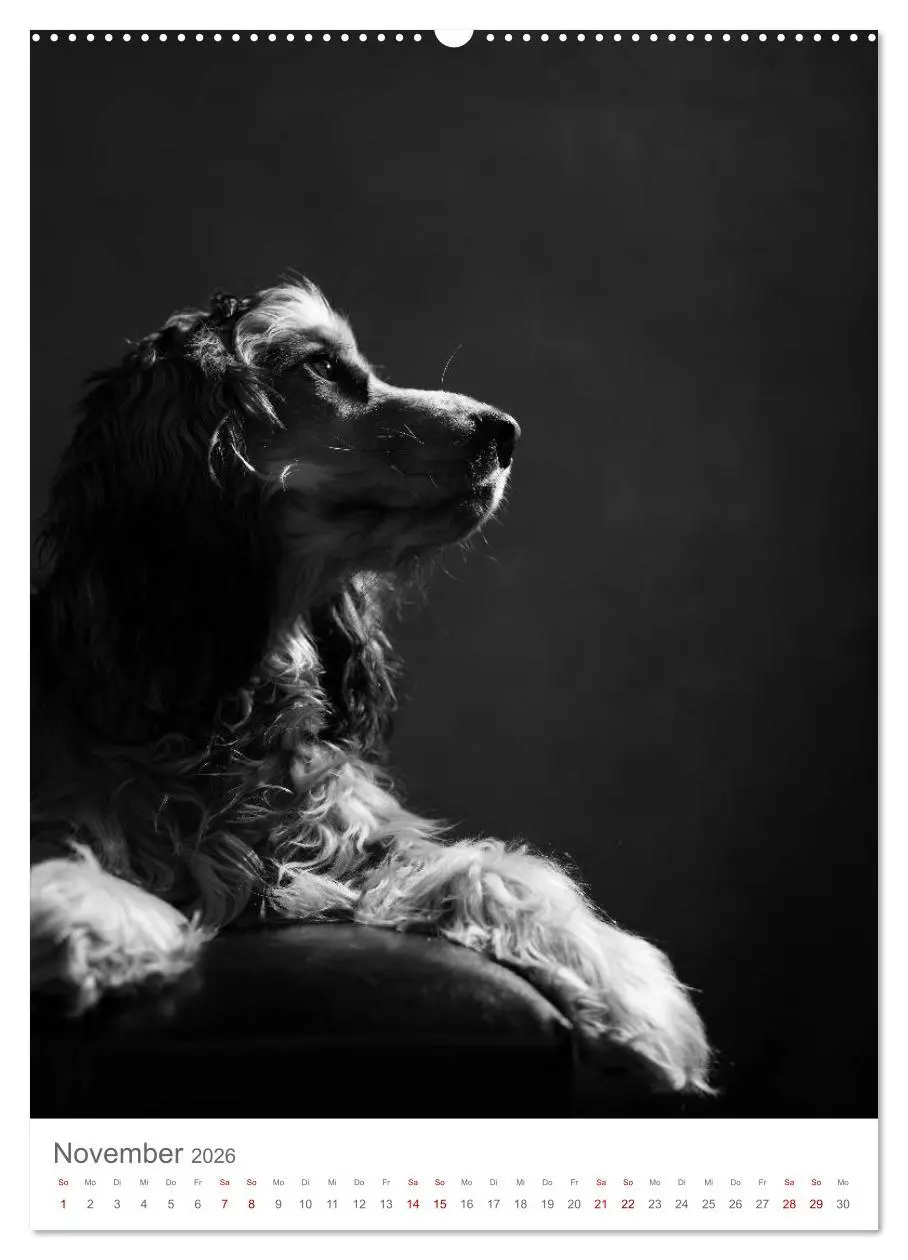 Bild: 9783516418880 | Fine Art Hundeportraits (Wandkalender 2026 DIN A2 hoch), CALVENDO...