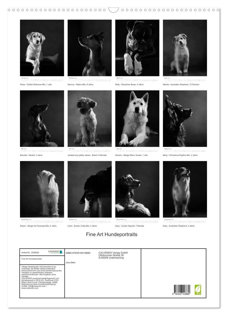 Bild: 9783516418880 | Fine Art Hundeportraits (Wandkalender 2026 DIN A2 hoch), CALVENDO...