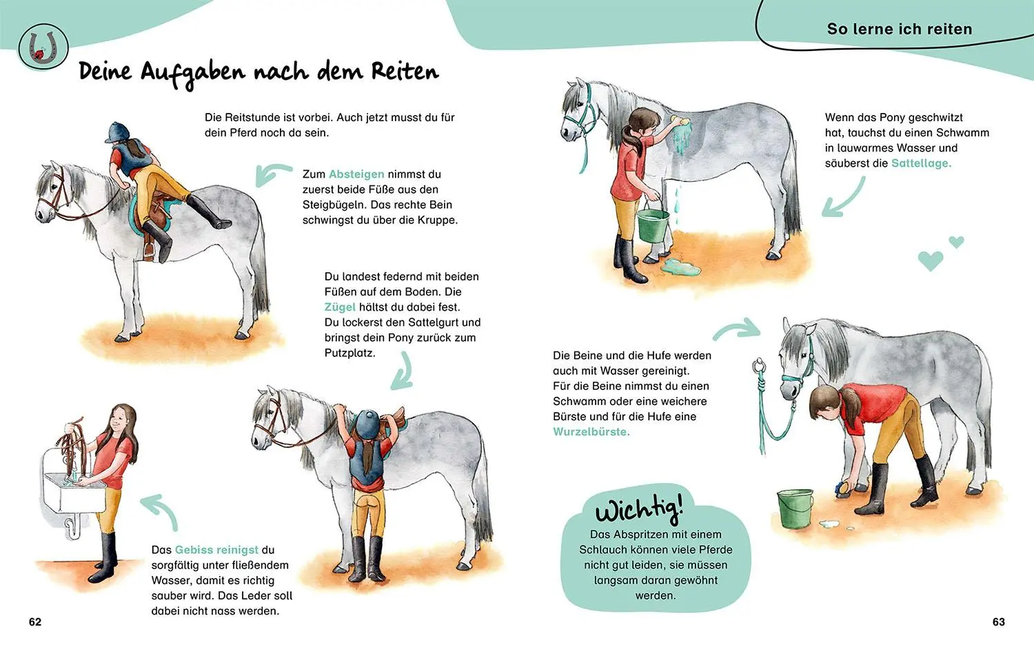 Bild: 9783440178980 | Mein erstes Pferdebuch. Mit Pferderassen von A-Z | Kächler-Kröck