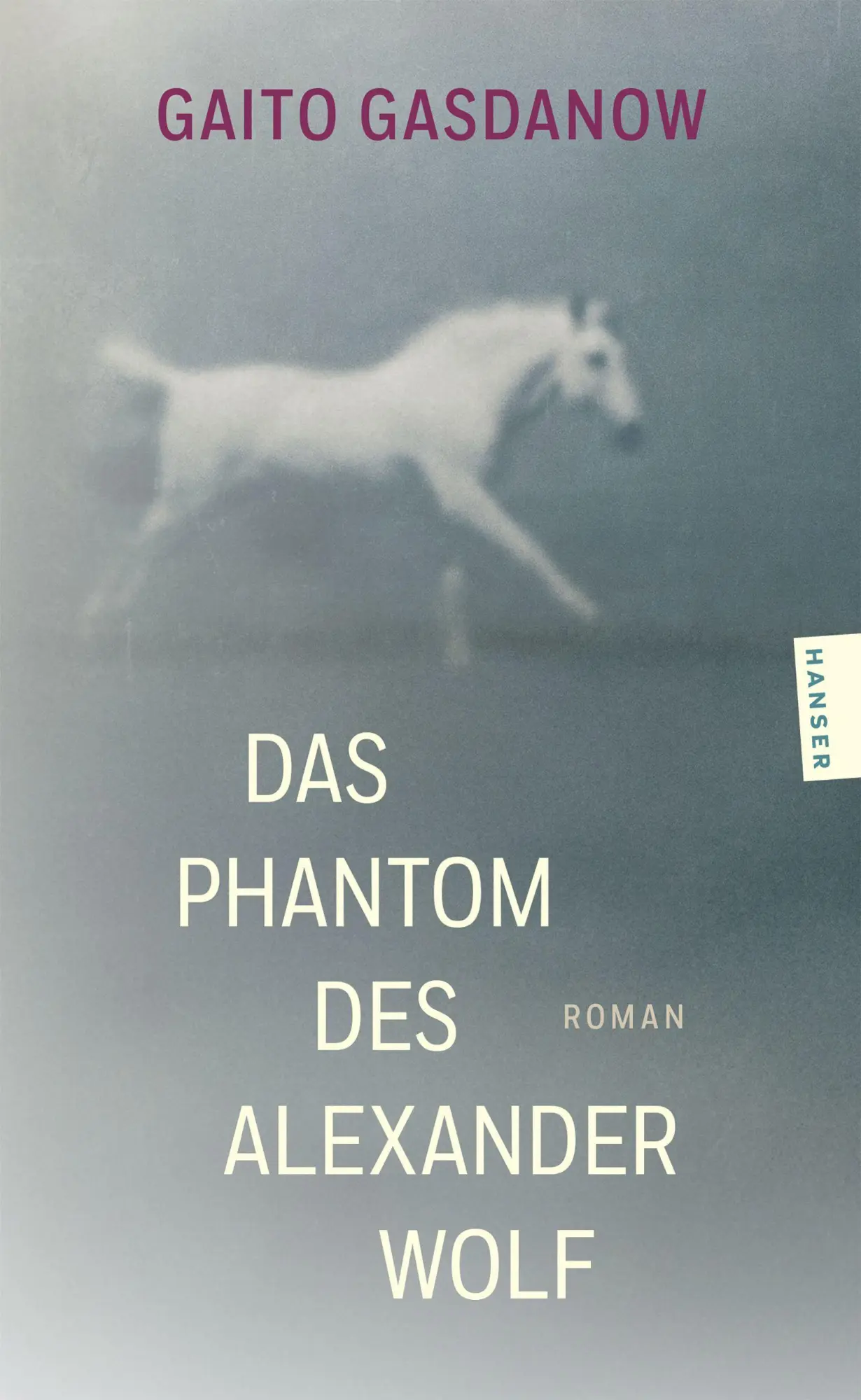 Cover: 9783446288980 | Das Phantom des Alexander Wolf | Roman | Gaito Gasdanow | Taschenbuch