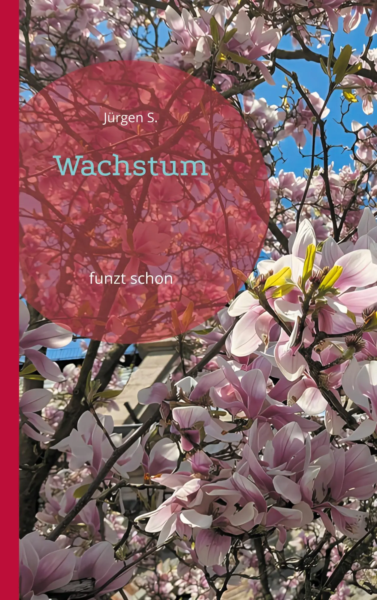 Cover: 9783819208980 | Wachstum | funzt schon | Jürgen S. | Taschenbuch | 130 S. | Deutsch