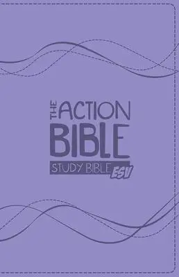 Cover: 9781434709080 | Action Bible Study Bible-ESV | David C Cook | Kartoniert / Broschiert