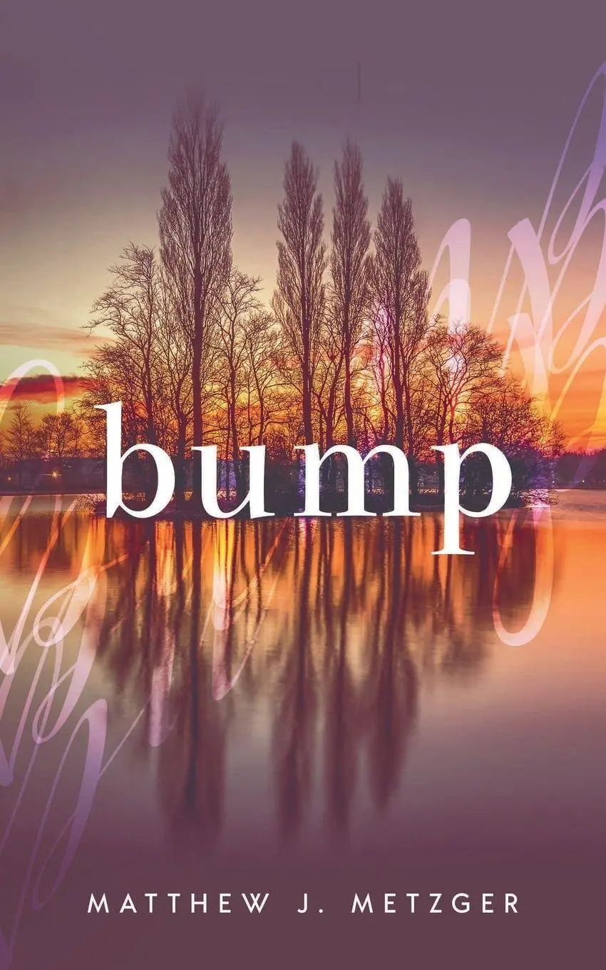 Cover: 9781949909180 | Bump | Matthew J. Metzger | Taschenbuch | Kartoniert / Broschiert