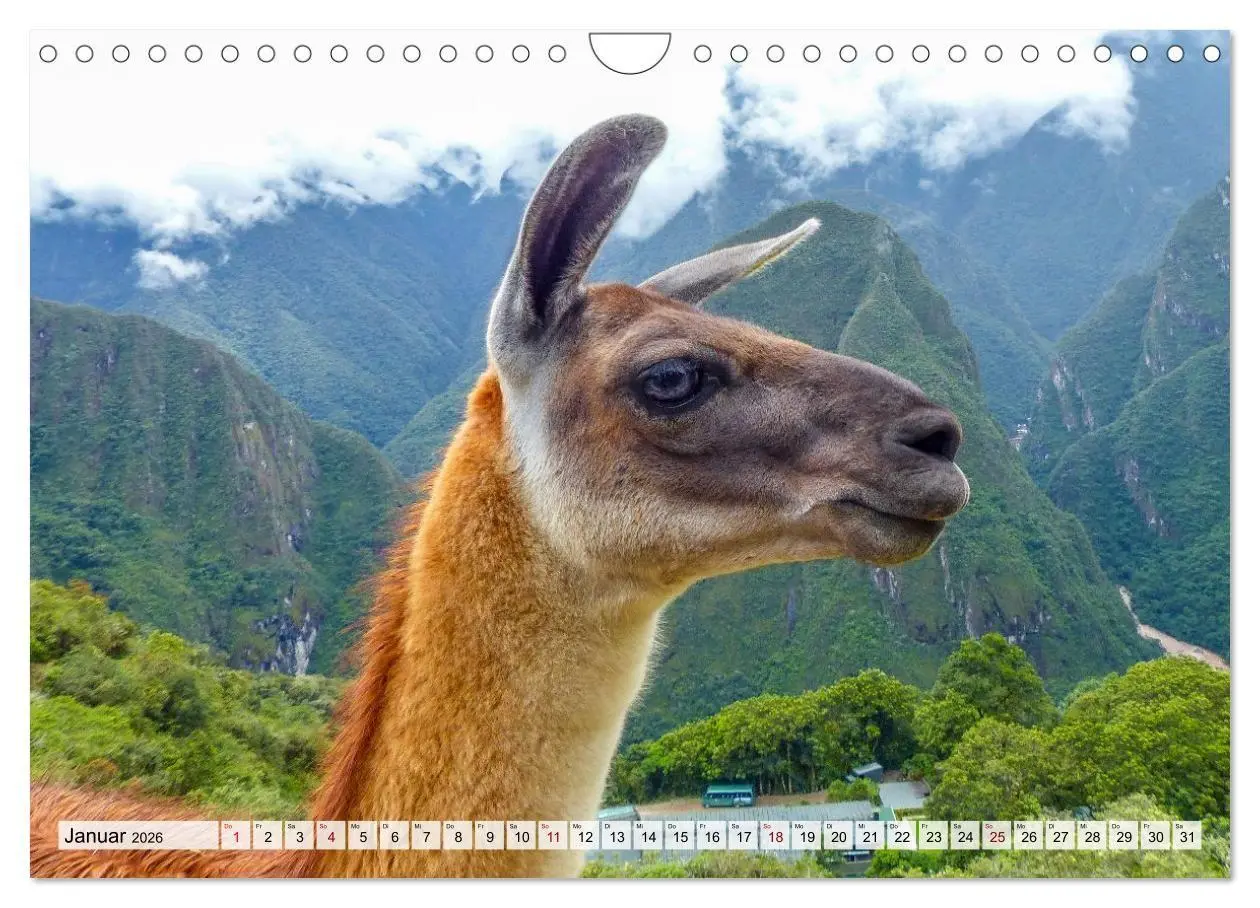 Bild: 9783516699180 | Faszination Peru - Natur und Kultur (Wandkalender 2026 DIN A4...
