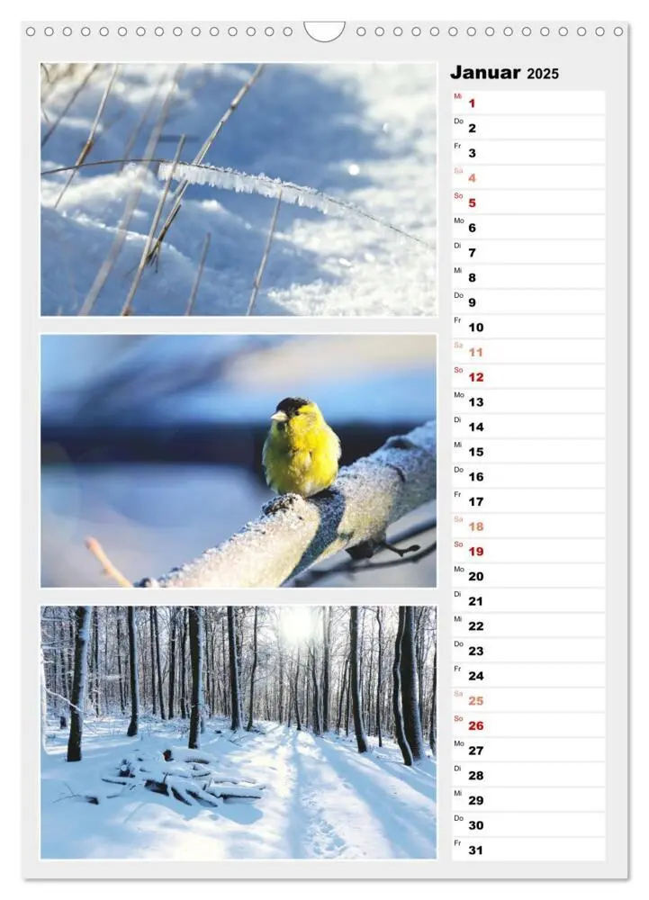 Bild: 9783435889280 | Zauberhafte Farben der Natur (Wandkalender 2025 DIN A3 hoch),...