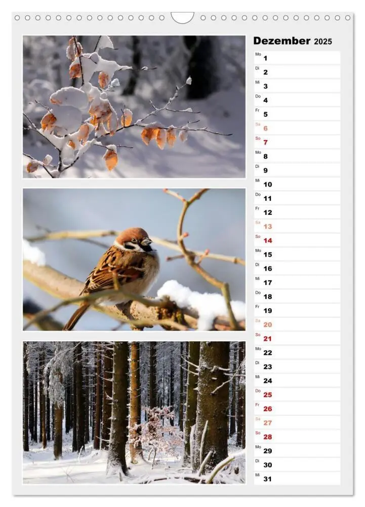 Bild: 9783435889280 | Zauberhafte Farben der Natur (Wandkalender 2025 DIN A3 hoch),...