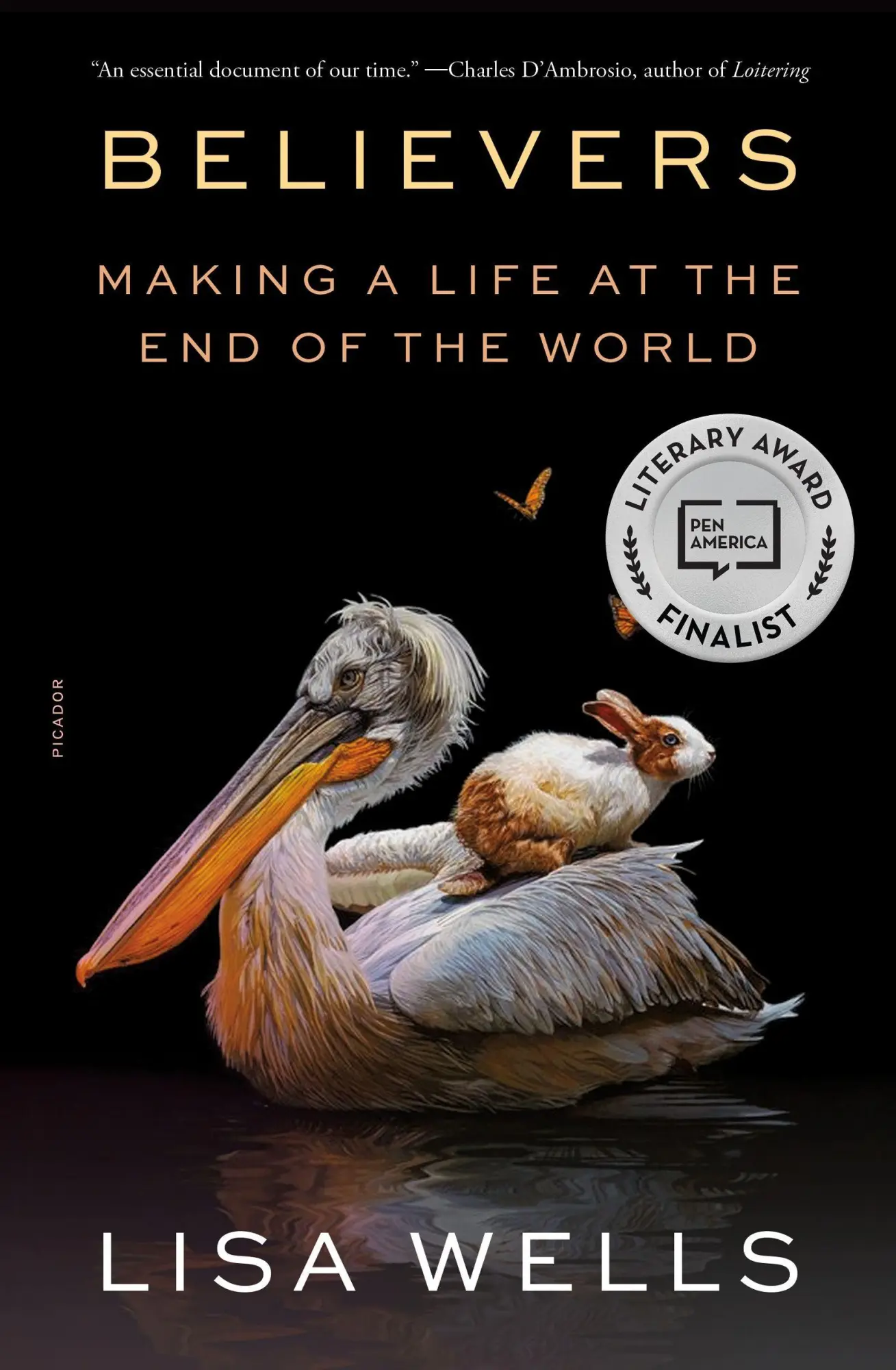 Cover: 9781250849380 | Believers | Making a Life at the End of the World | Lisa Wells | Buch