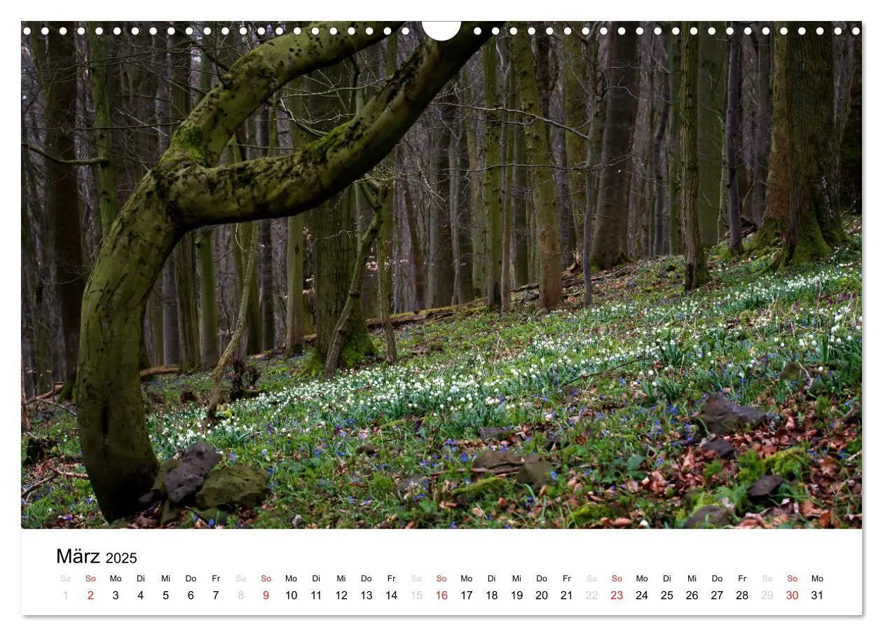 Bild: 9783435499380 | Naturerlebnis im Biosphärenreservat Rhön (Wandkalender 2025 DIN A3...