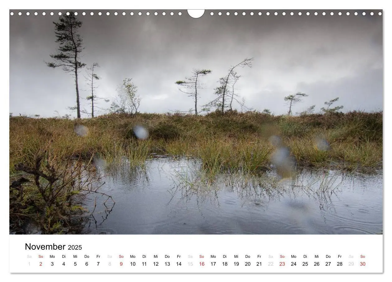 Bild: 9783435499380 | Naturerlebnis im Biosphärenreservat Rhön (Wandkalender 2025 DIN A3...