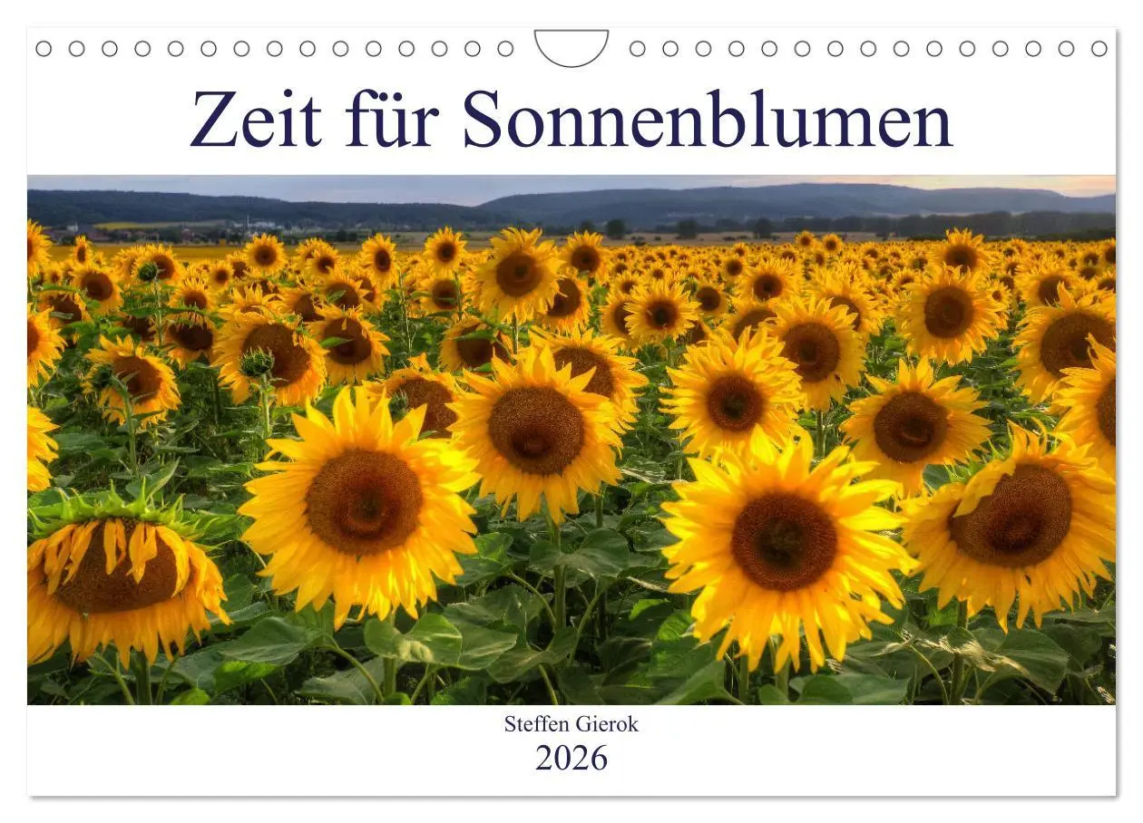 Cover: 9783516129380 | Zeit für Sonnenblumen (Wandkalender 2026 DIN A4 quer), CALVENDO...