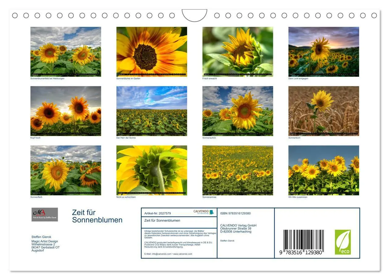Bild: 9783516129380 | Zeit für Sonnenblumen (Wandkalender 2026 DIN A4 quer), CALVENDO...