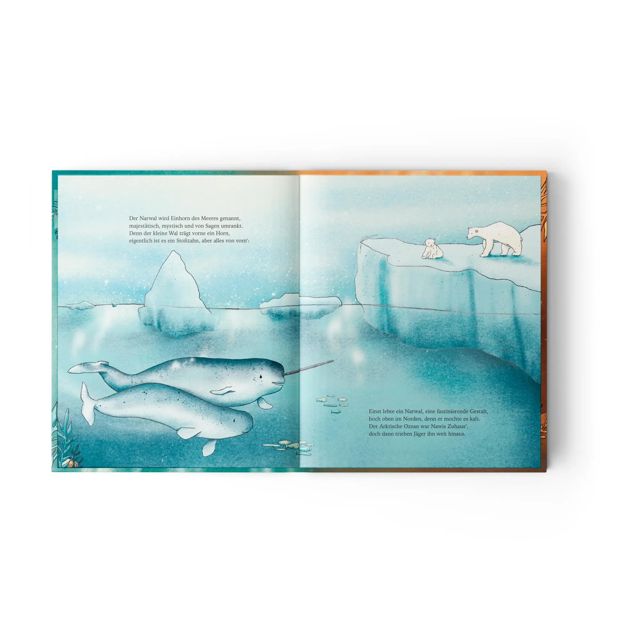 Bild: 9783949239380 | (K)einer von uns | Sandra Hohenstein | Buch | 32 S. | Deutsch | 2025