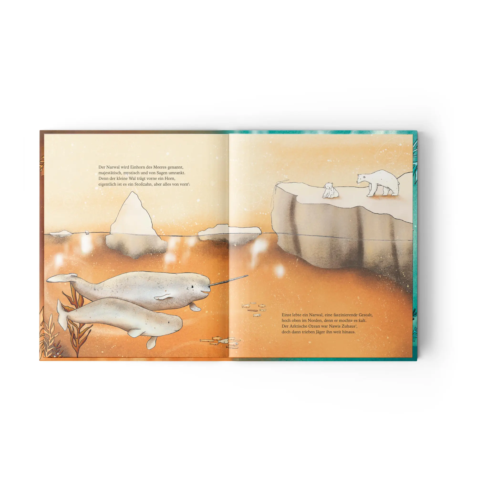 Bild: 9783949239380 | (K)einer von uns | Sandra Hohenstein | Buch | 32 S. | Deutsch | 2025