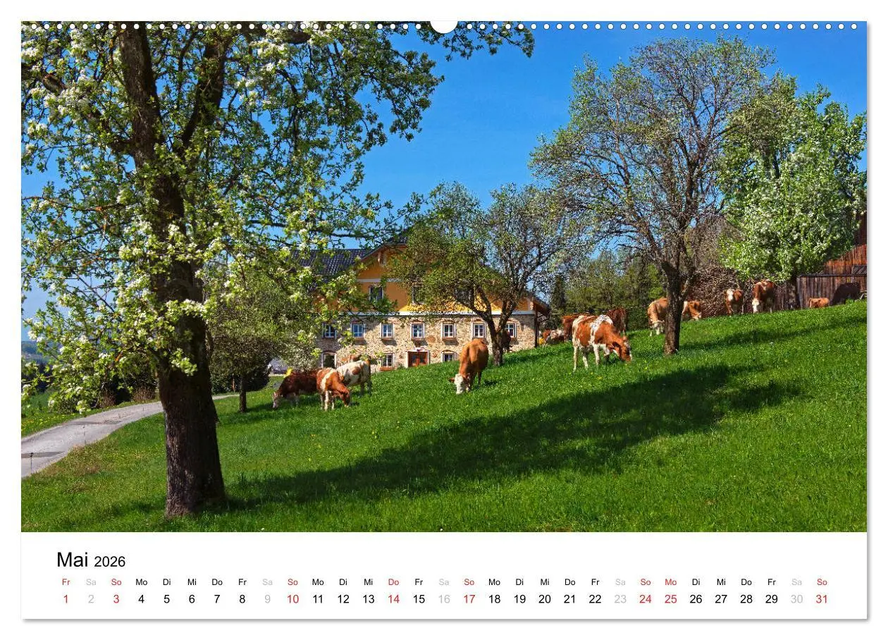 Bild: 9783457719480 | Zauberhaftes Mondseeland (hochwertiger Premium Wandkalender 2026...