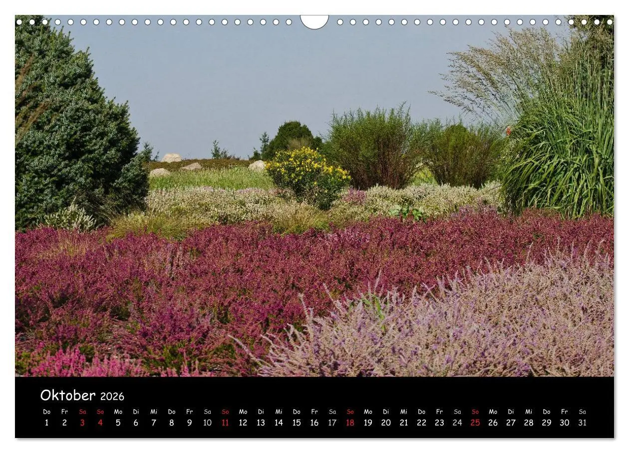 Bild: 9783516119480 | Findlingspark Nochten 2026 (Wandkalender 2026 DIN A3 quer),...