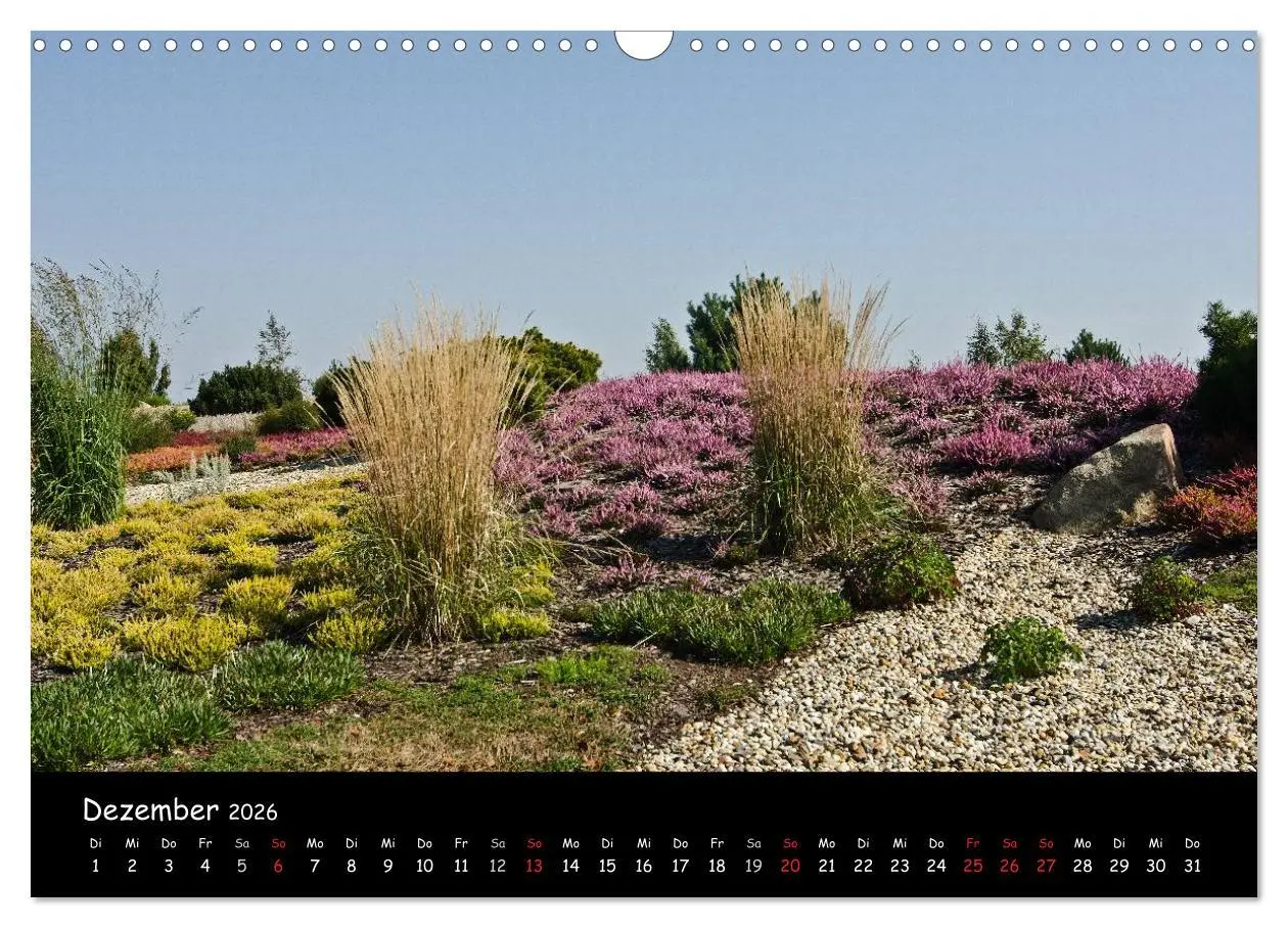 Bild: 9783516119480 | Findlingspark Nochten 2026 (Wandkalender 2026 DIN A3 quer),...