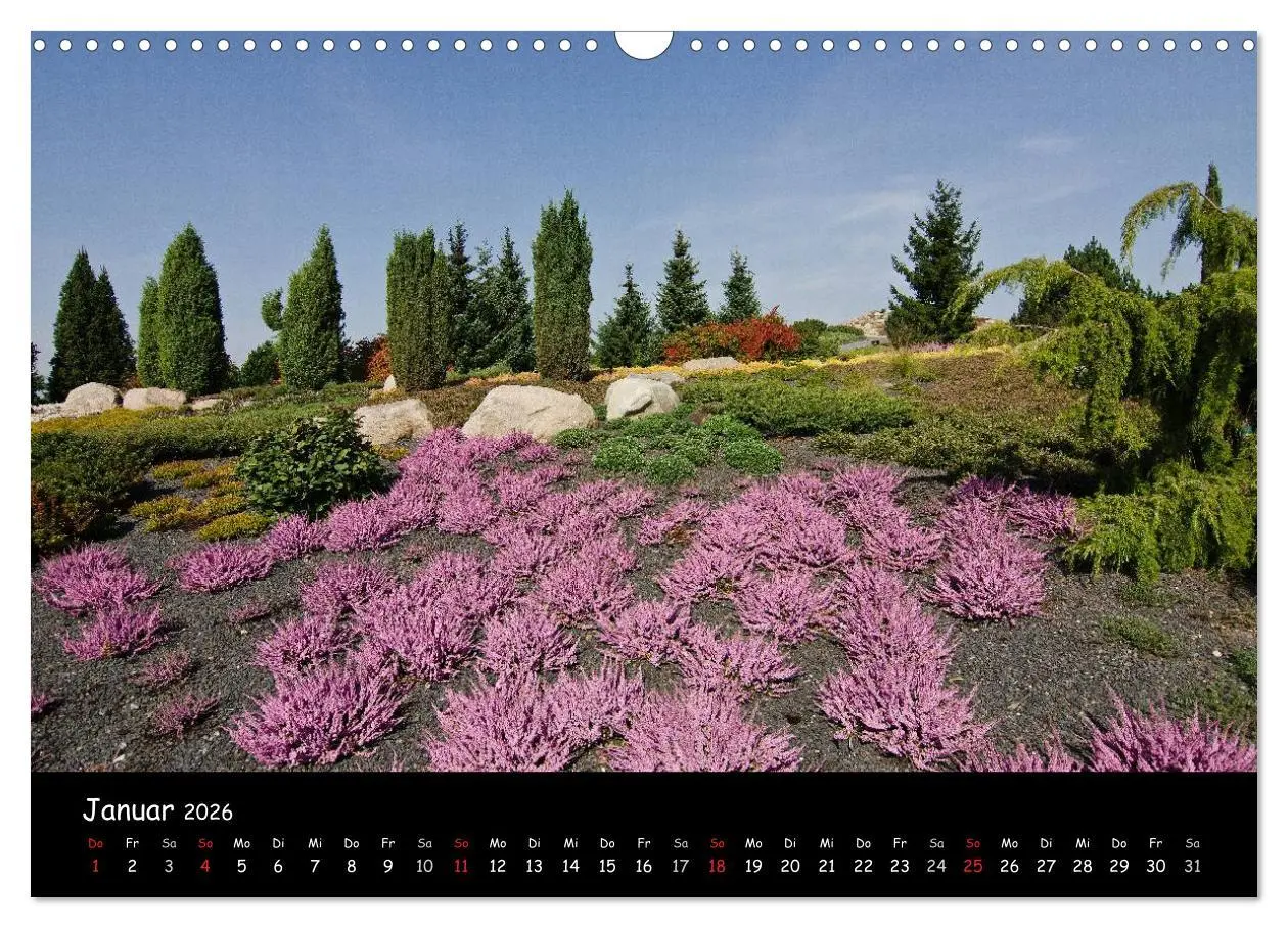 Bild: 9783516119480 | Findlingspark Nochten 2026 (Wandkalender 2026 DIN A3 quer),...