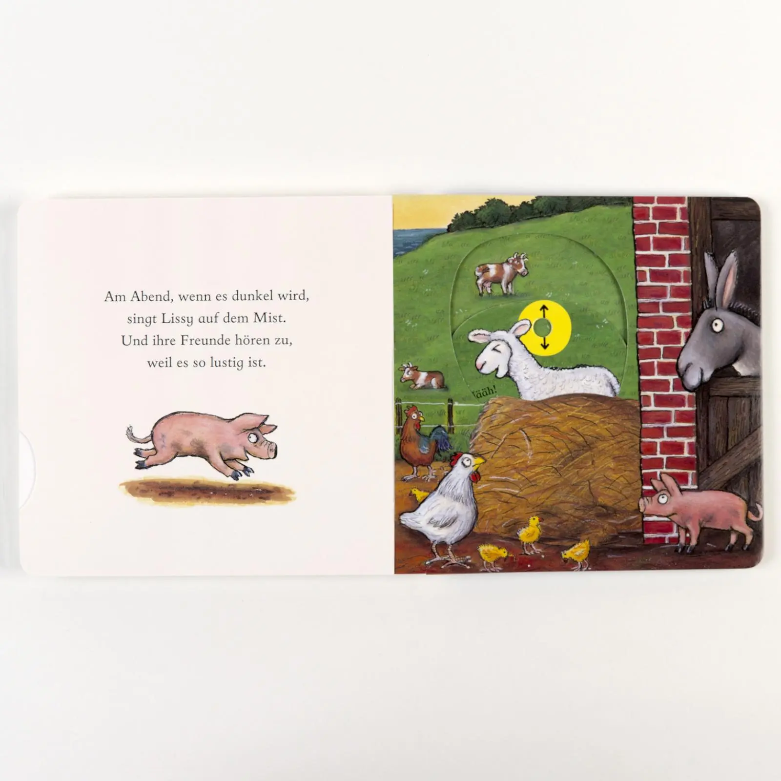 Bild: 9783407759580 | Lissy, das Lämmchen | Pappbilderbuch zum Schieben, Ziehen, Spielen