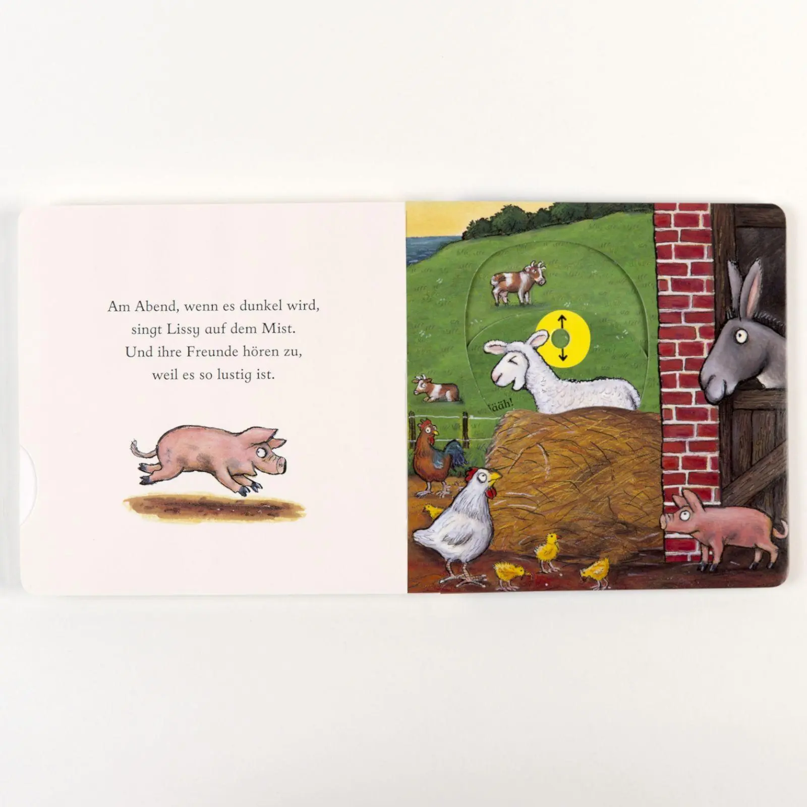 Bild: 9783407759580 | Lissy, das Lämmchen | Pappbilderbuch zum Schieben, Ziehen, Spielen