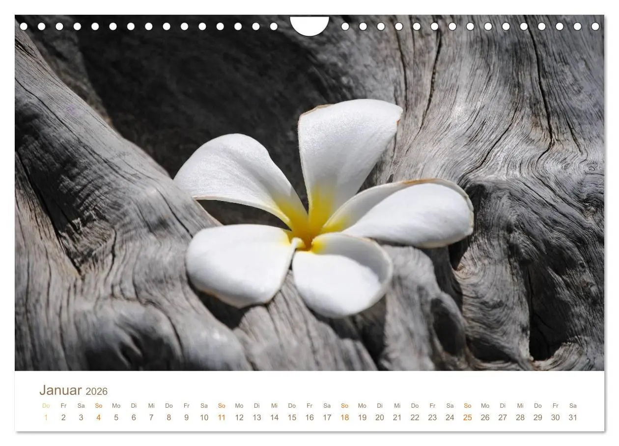 Bild: 9783516039580 | Hawaii Paradies auf Erden (Wandkalender 2026 DIN A4 quer), CALVENDO...