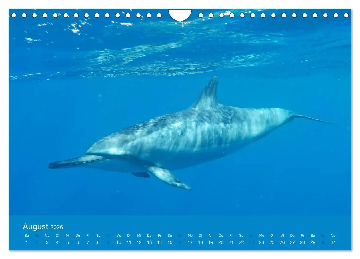 Bild: 9783516039580 | Hawaii Paradies auf Erden (Wandkalender 2026 DIN A4 quer), CALVENDO...