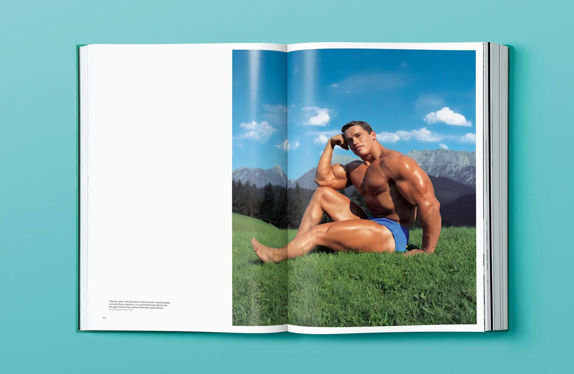 Bild: 9783836599580 | ARNOLD | Dian Hanson | Buch | Hardcover mit Ausklappseite | 524 S.
