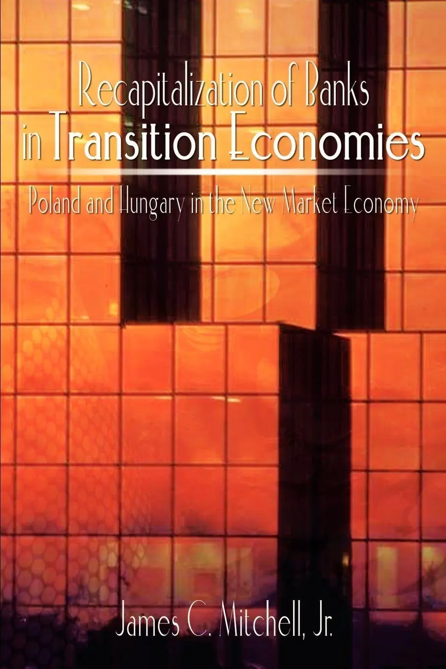 Cover: 9781410749680 | Recapitalization of Banks in Transition Economies | Jr | Taschenbuch