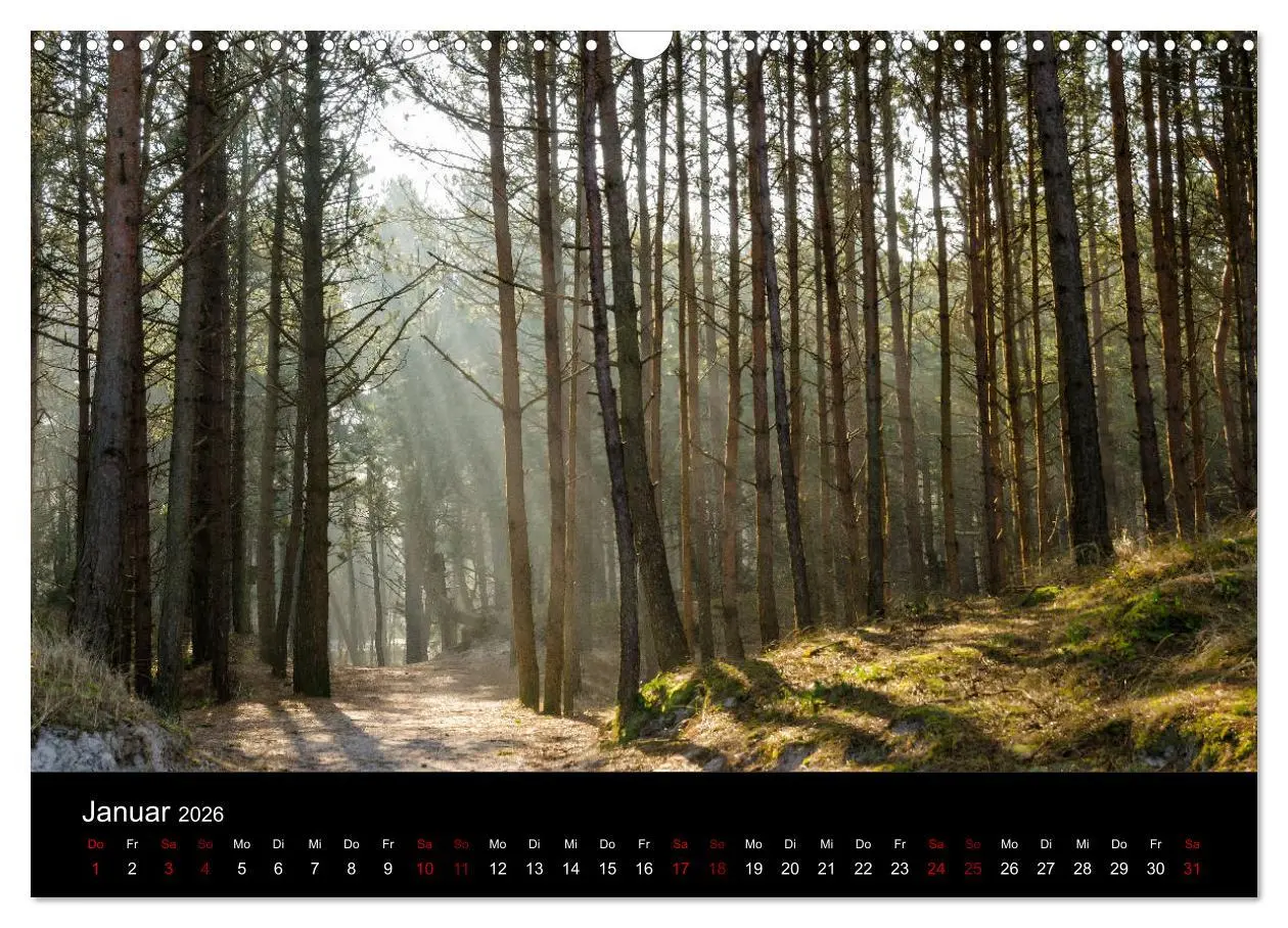 Bild: 9783457869680 | Polen - Reise durch unser schönes Nachbarland (Wandkalender 2026...