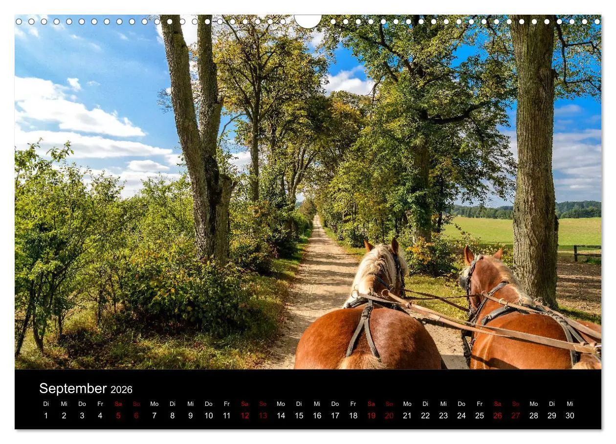 Bild: 9783457869680 | Polen - Reise durch unser schönes Nachbarland (Wandkalender 2026...