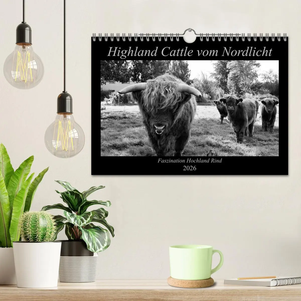 Bild: 9783457939680 | Highland Cattle vom Nordlicht - Faszination Hochland Rind...