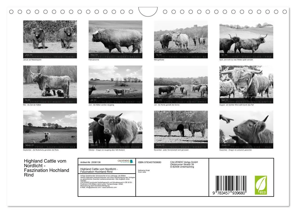 Bild: 9783457939680 | Highland Cattle vom Nordlicht - Faszination Hochland Rind...