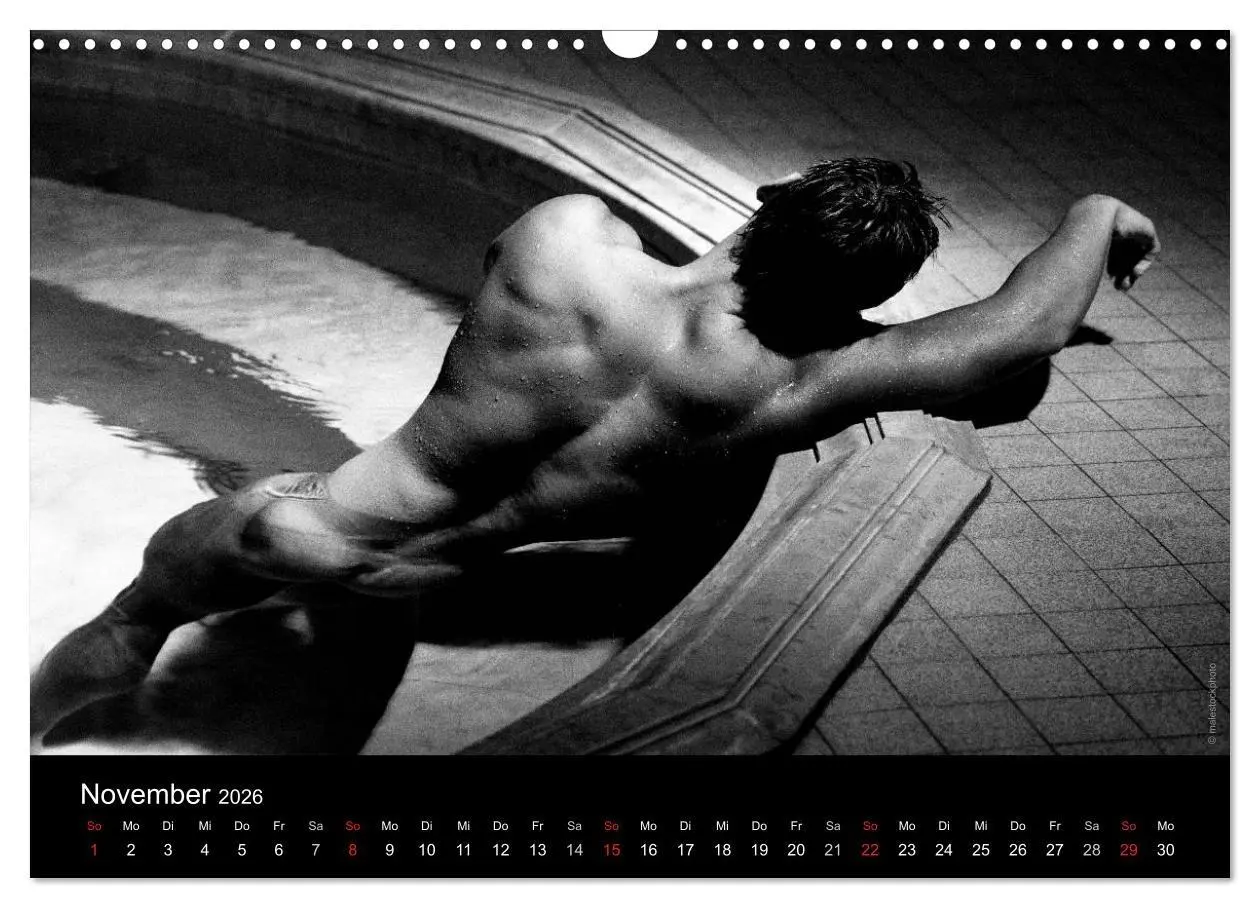 Bild: 9783516029680 | Traummänner Männerträume (Wandkalender 2026 DIN A3 quer), CALVENDO...