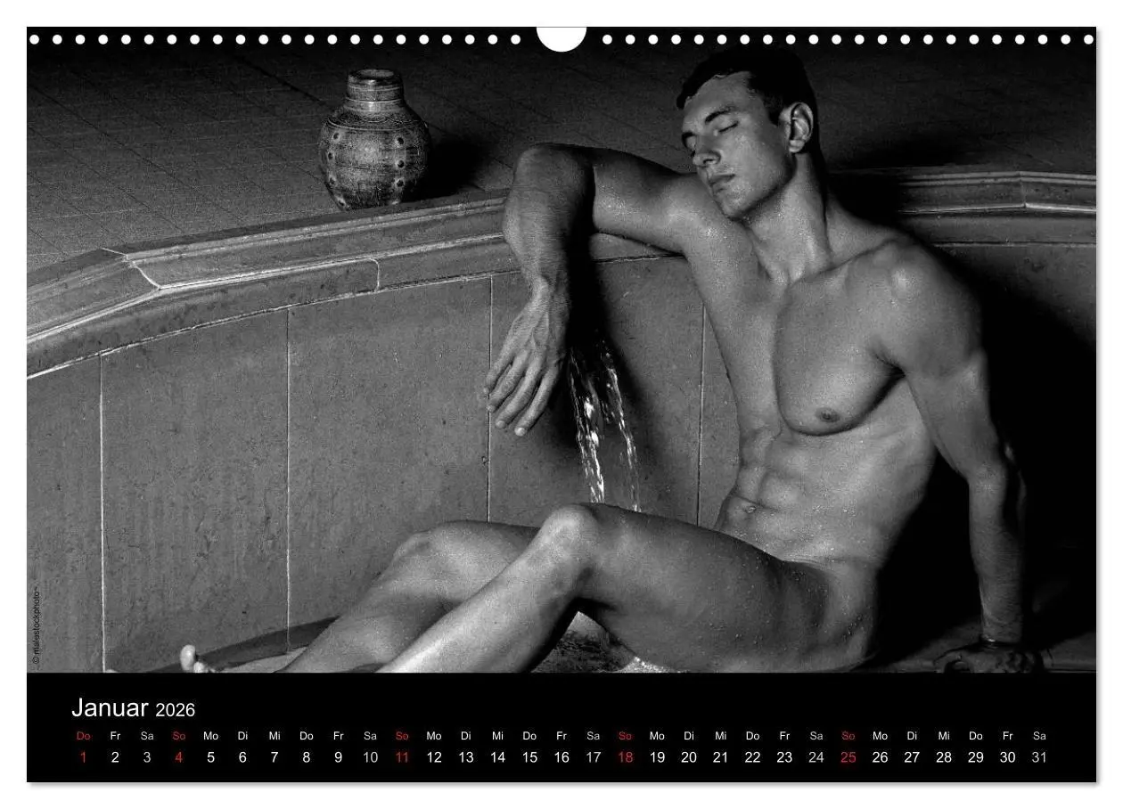 Bild: 9783516029680 | Traummänner Männerträume (Wandkalender 2026 DIN A3 quer), CALVENDO...