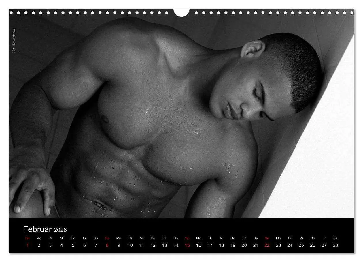 Bild: 9783516029680 | Traummänner Männerträume (Wandkalender 2026 DIN A3 quer), CALVENDO...