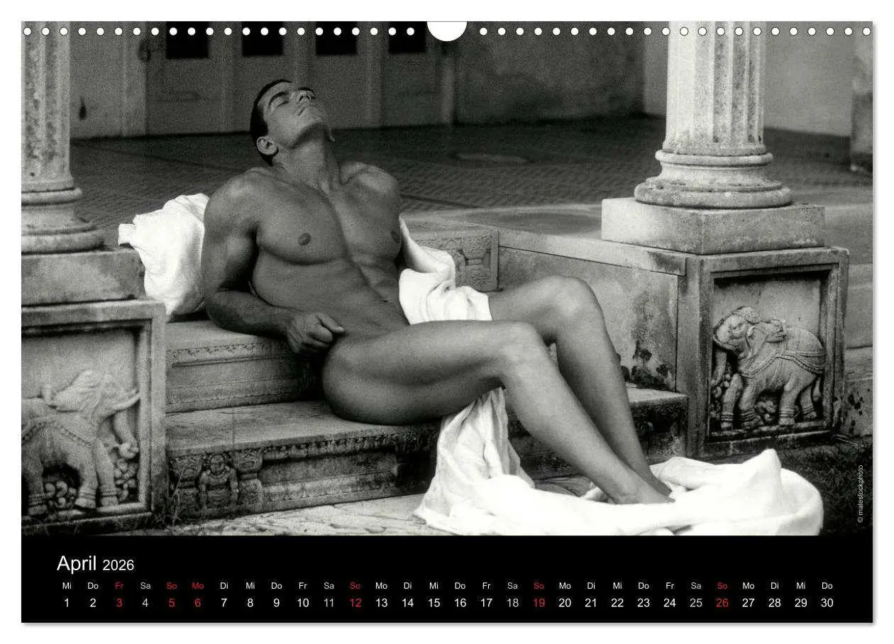 Bild: 9783516029680 | Traummänner Männerträume (Wandkalender 2026 DIN A3 quer), CALVENDO...