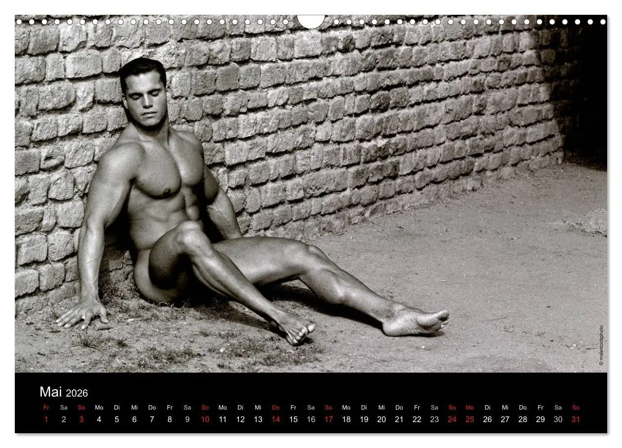 Bild: 9783516029680 | Traummänner Männerträume (Wandkalender 2026 DIN A3 quer), CALVENDO...