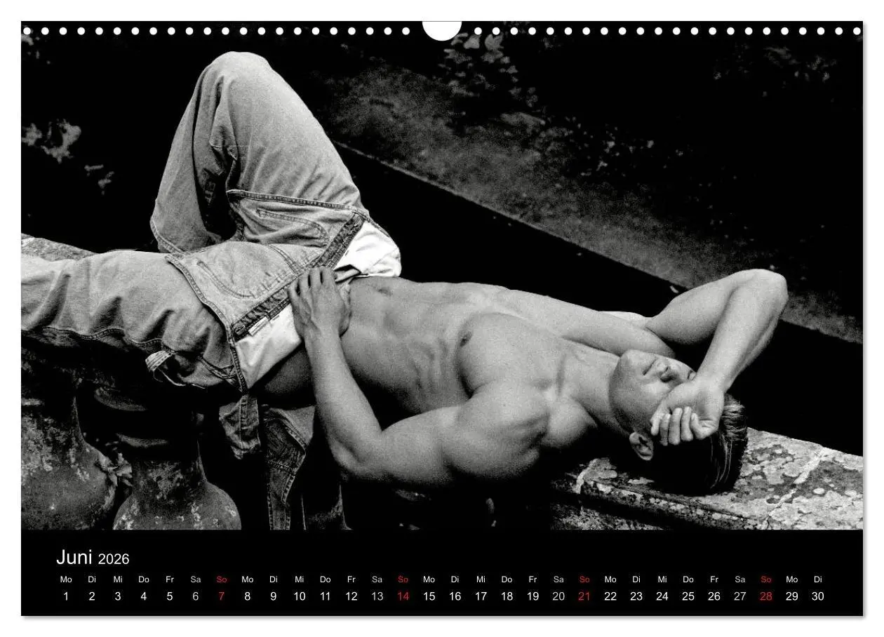 Bild: 9783516029680 | Traummänner Männerträume (Wandkalender 2026 DIN A3 quer), CALVENDO...