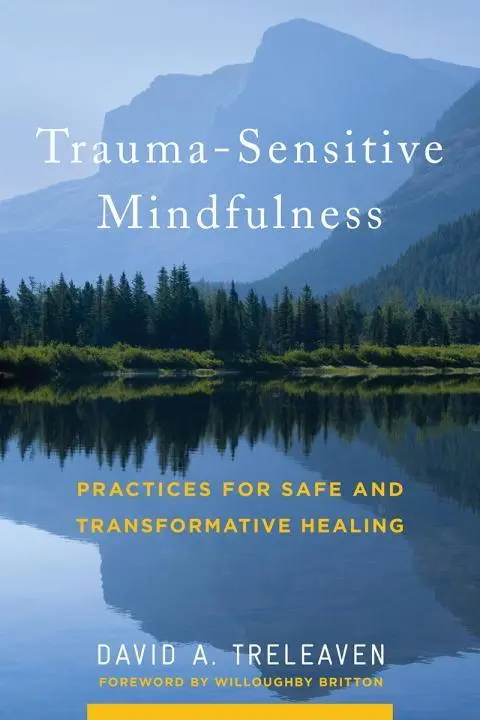 Cover: 9780393709780 | Trauma-Sensitive Mindfulness | David A Treleaven | Buch | Gebunden