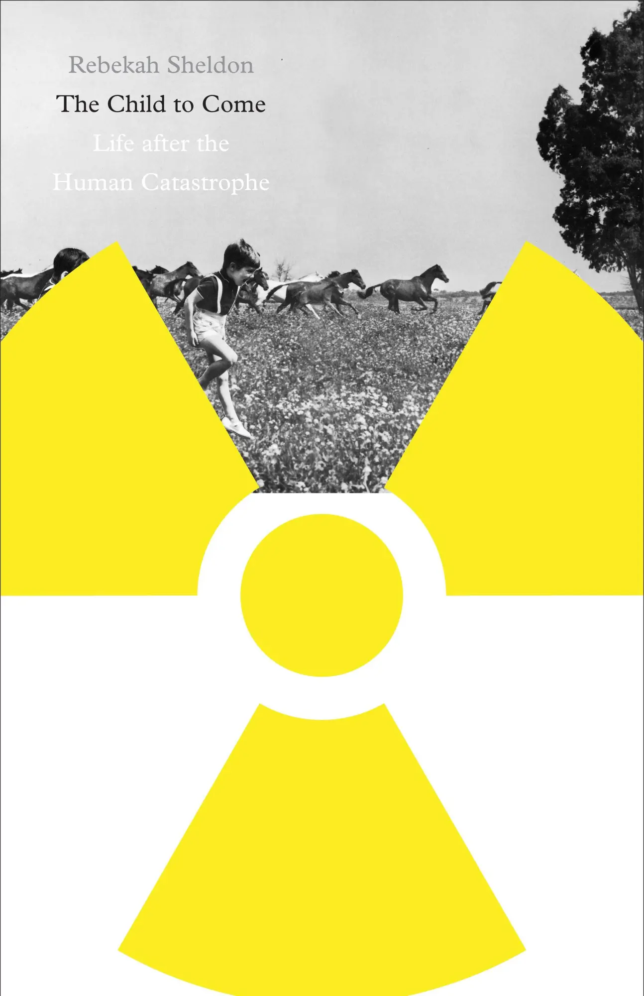Cover: 9780816689880 | The Child to Come | Life after the Human Catastrophe | Rebekah Sheldon