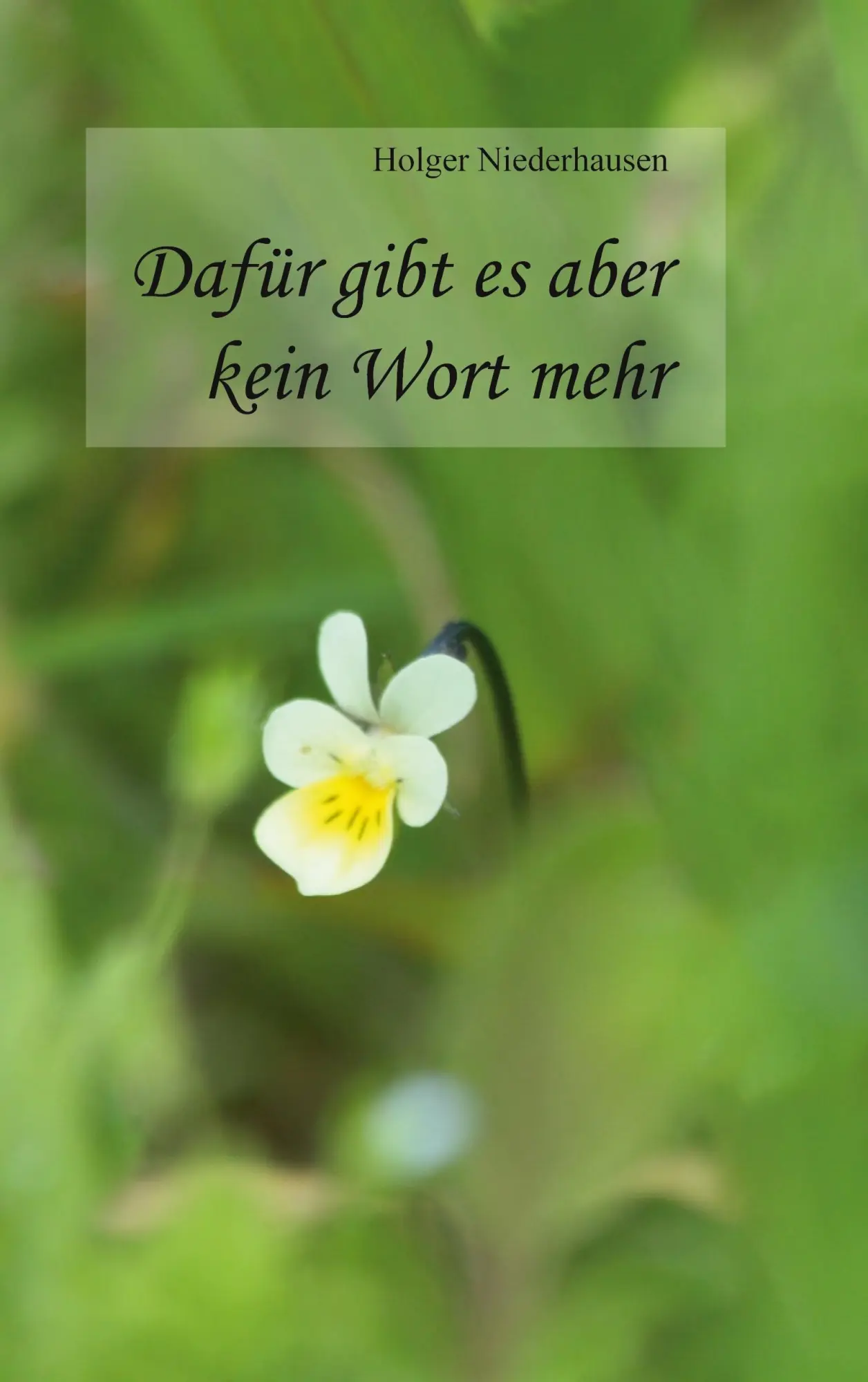 Cover: 9783769319880 | Dafür gibt es aber kein Wort mehr | Holger Niederhausen | Taschenbuch